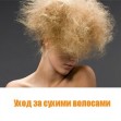 Как вылечить сухие ломкие волосы? Как вылечить сухие ломкие волосы?